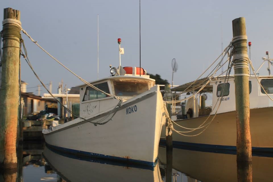 commecial boat named Koko